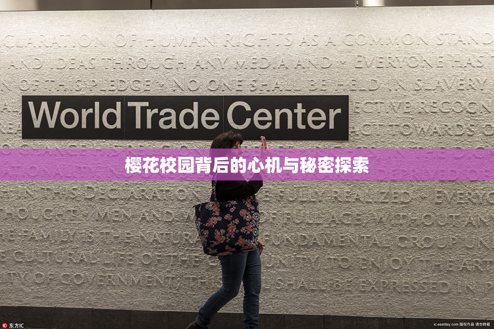 樱花校园背后的心机与秘密探索