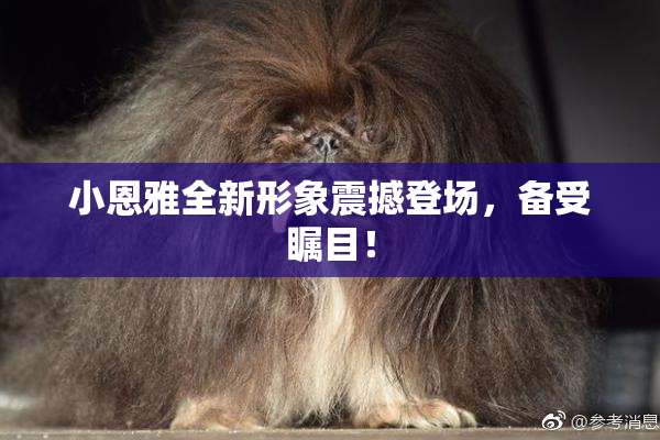 小恩雅全新形象震撼登场，备受瞩目！