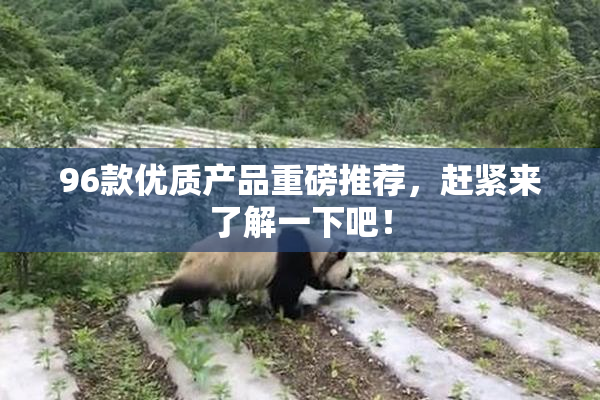96款优质产品重磅推荐，赶紧来了解一下吧！