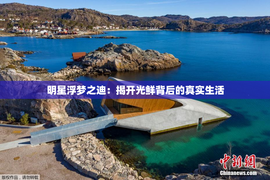 明星浮梦之迪：揭开光鲜背后的真实生活