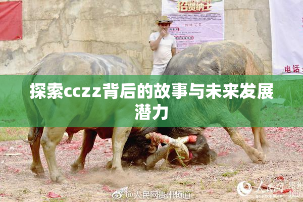 探索cczz背后的故事与未来发展潜力