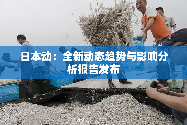 日本动：全新动态趋势与影响分析报告发布