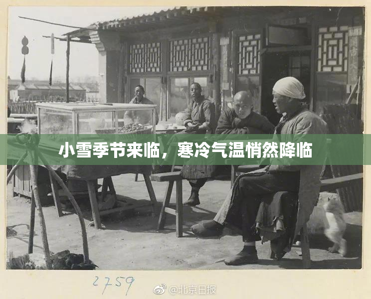 小雪季节来临，寒冷气温悄然降临