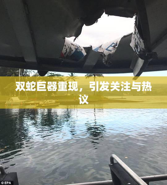 双蛇巨器重现，引发关注与热议