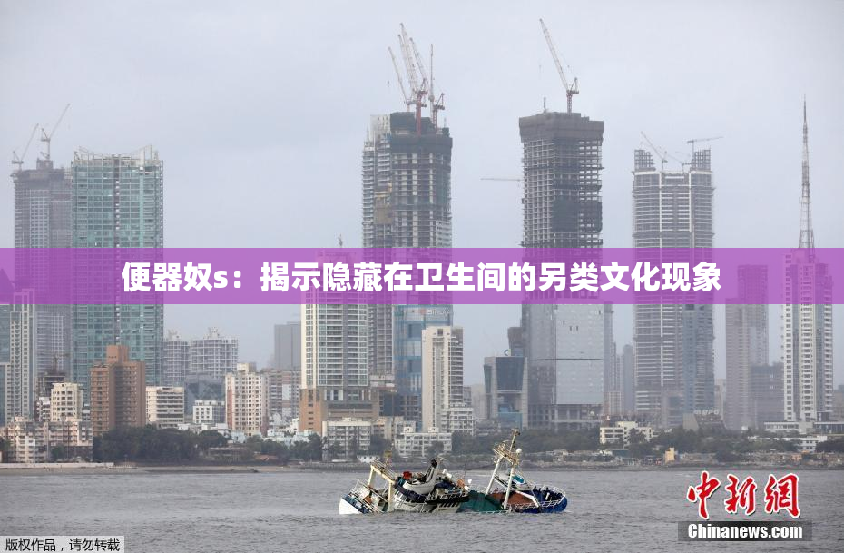 便器奴s：揭示隐藏在卫生间的另类文化现象
