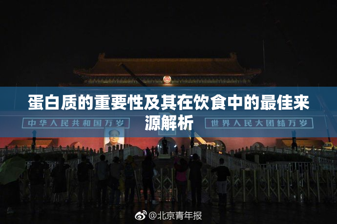 蛋白质的重要性及其在饮食中的最佳来源解析