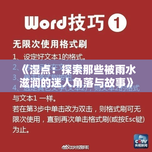 《湿点：探索那些被雨水滋润的迷人角落与故事》
