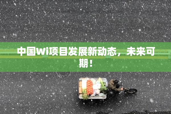 中国Wi项目发展新动态，未来可期！
