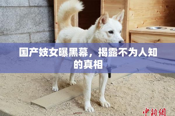 国产妓女曝黑幕，揭露不为人知的真相