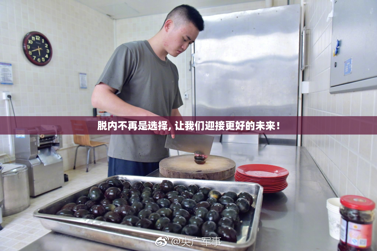 脱内不再是选择, 让我们迎接更好的未来！