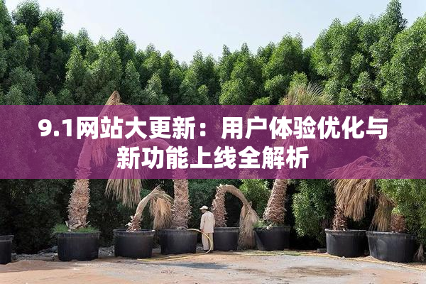 9.1网站大更新：用户体验优化与新功能上线全解析