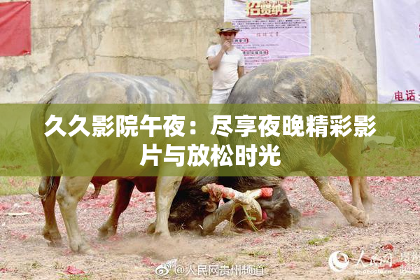 久久影院午夜：尽享夜晚精彩影片与放松时光