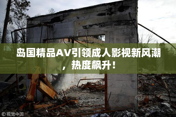 岛国精品AV引领成人影视新风潮，热度飙升！