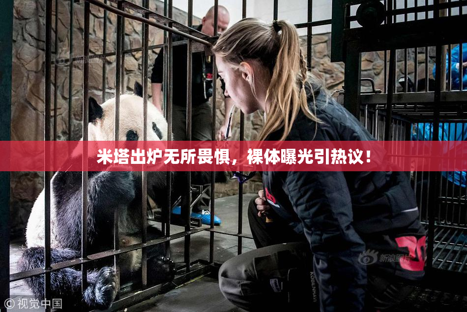 米塔出炉无所畏惧，裸体曝光引热议！