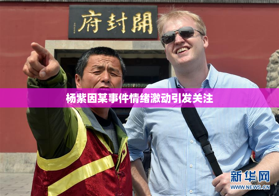 杨紫因某事件情绪激动引发关注