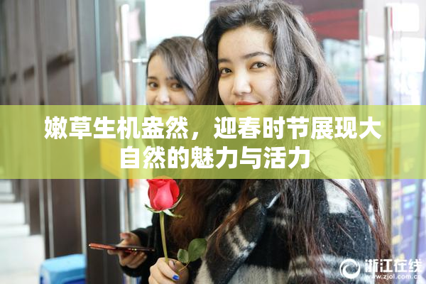嫩草生机盎然，迎春时节展现大自然的魅力与活力