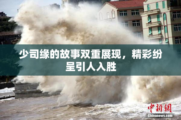 少司缘的故事双重展现，精彩纷呈引人入胜