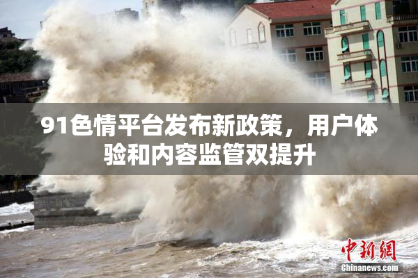 91色情平台发布新政策，用户体验和内容监管双提升