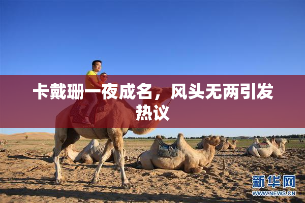 卡戴珊一夜成名，风头无两引发热议