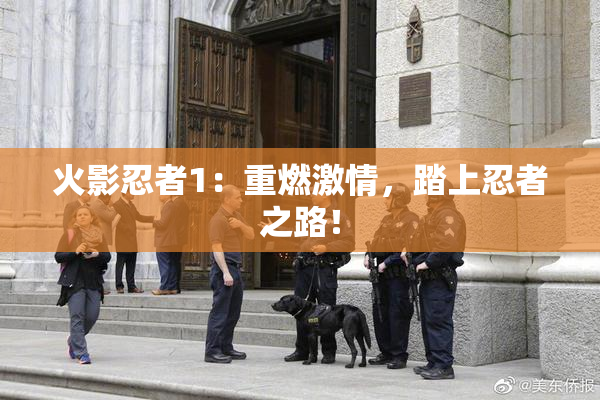 火影忍者1：重燃激情，踏上忍者之路！