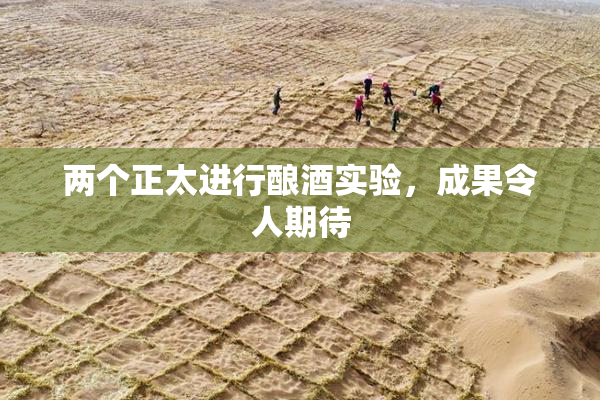 两个正太进行酿酒实验，成果令人期待