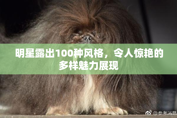 明星露出100种风格，令人惊艳的多样魅力展现