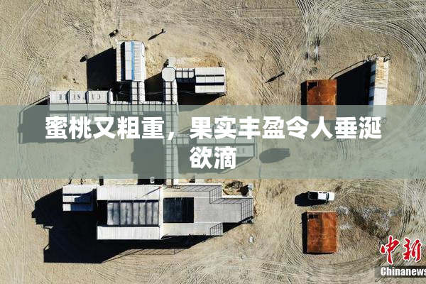 蜜桃又粗重，果实丰盈令人垂涎欲滴