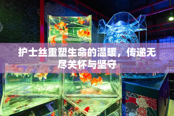 护士丝重塑生命的温暖，传递无尽关怀与坚守