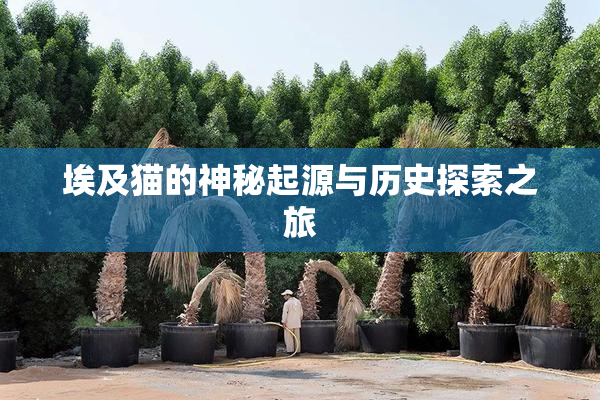 埃及猫的神秘起源与历史探索之旅