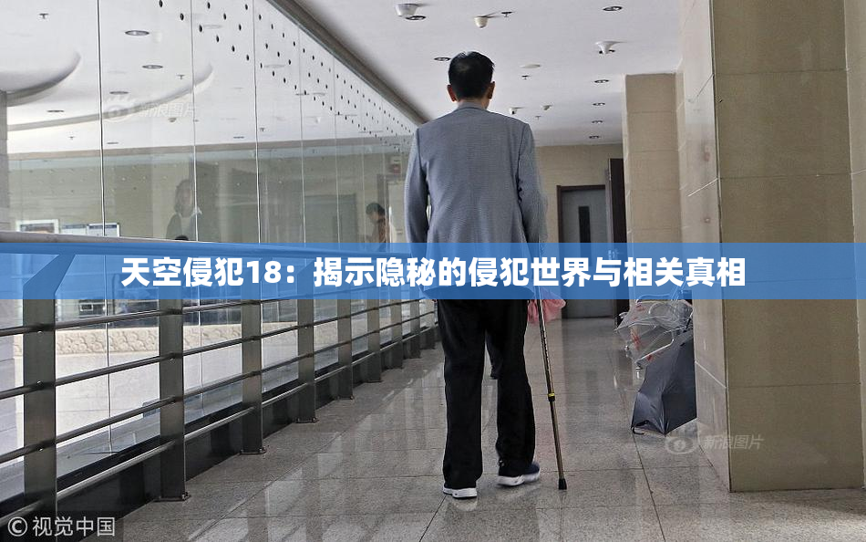 天空侵犯18：揭示隐秘的侵犯世界与相关真相