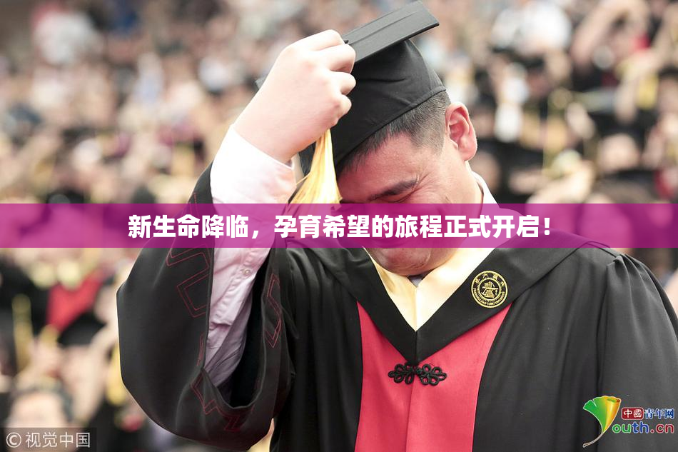 新生命降临，孕育希望的旅程正式开启！