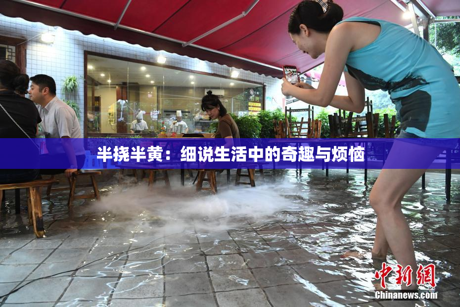 半挠半黄：细说生活中的奇趣与烦恼