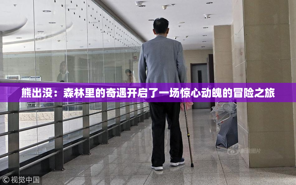 熊出没：森林里的奇遇开启了一场惊心动魄的冒险之旅