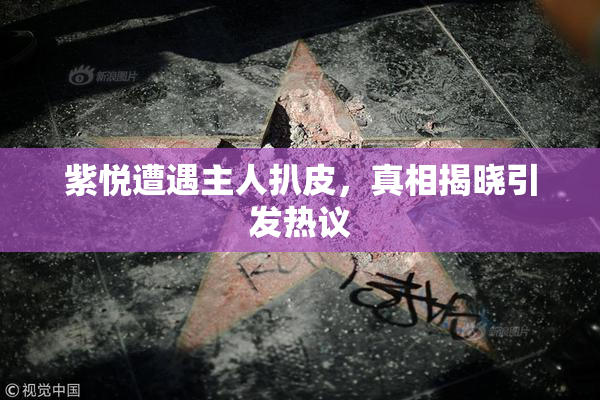 紫悦遭遇主人扒皮，真相揭晓引发热议