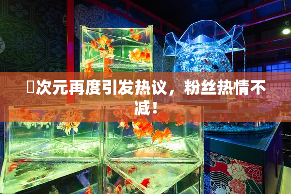 囧次元再度引发热议，粉丝热情不减！