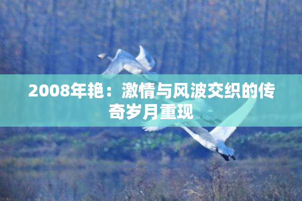2008年艳：激情与风波交织的传奇岁月重现