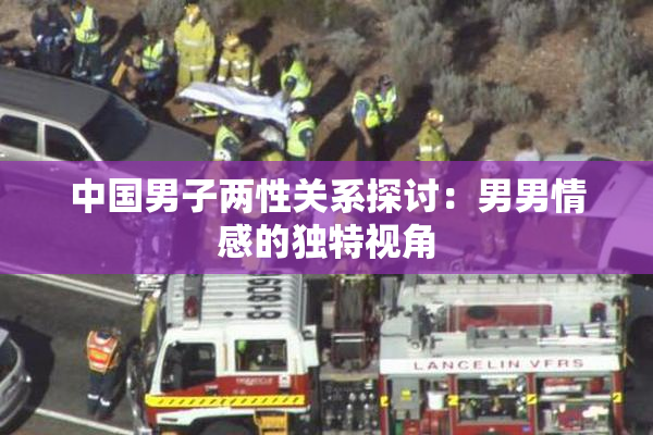 中国男子两性关系探讨：男男情感的独特视角