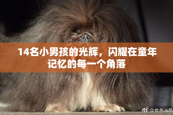 14名小男孩的光辉，闪耀在童年记忆的每一个角落