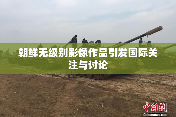 朝鲜无级别影像作品引发国际关注与讨论