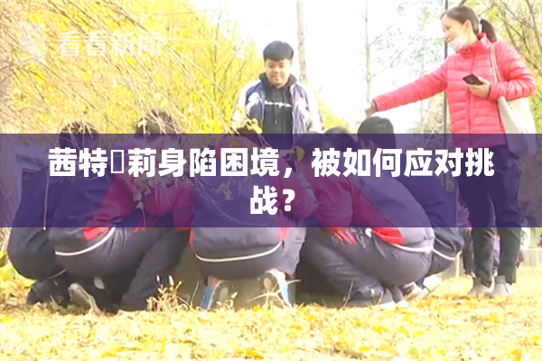 茜特菈莉身陷困境，被如何应对挑战？