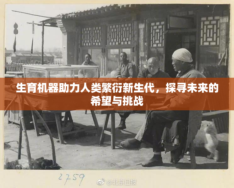 生育机器助力人类繁衍新生代，探寻未来的希望与挑战