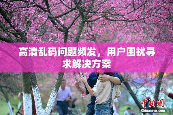 高清乱码问题频发，用户困扰寻求解决方案