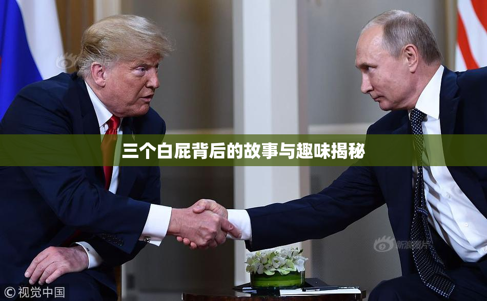 三个白屁背后的故事与趣味揭秘