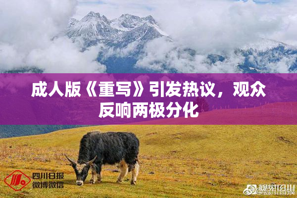 成人版《重写》引发热议，观众反响两极分化