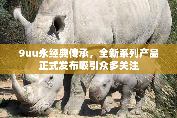 9uu永经典传承，全新系列产品正式发布吸引众多关注