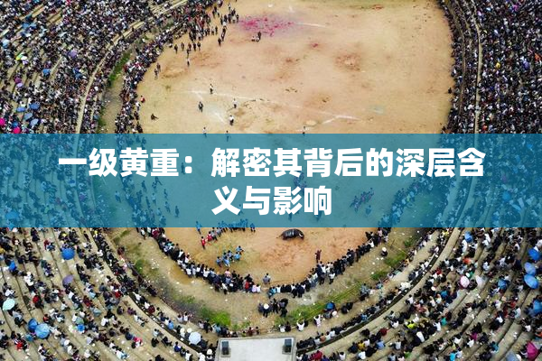 一级黄重：解密其背后的深层含义与影响