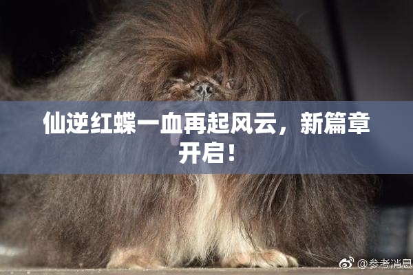 仙逆红蝶一血再起风云，新篇章开启！