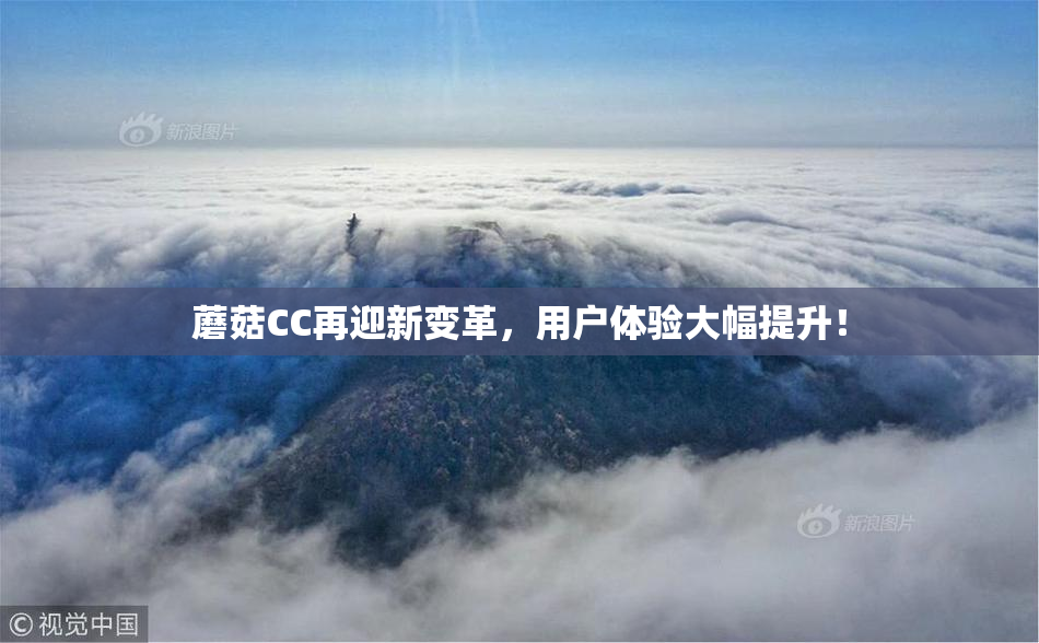蘑菇CC再迎新变革，用户体验大幅提升！