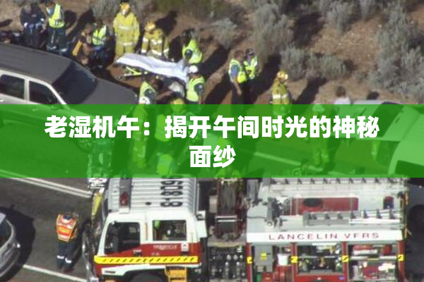 老湿机午：揭开午间时光的神秘面纱