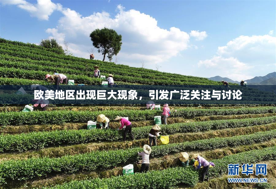 欧美地区出现巨大现象，引发广泛关注与讨论